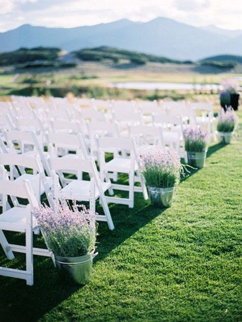 Aluminum pails filled with fresh, fragrant lavender is a simple and chic wedding / http://www.himisspuff.com/potted-plants-wedding-decor-ideas/2/ Lavender Potted Plant, Wedding Ceremony Ideas, Aisle Flowers, Wedding Aisle Decorations, Ceremony Flowers, Aisle Decor, Lavender Wedding, Outside Wedding, Wedding Aisle