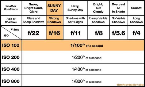 Nikon Camera Settings, Sunny 16 Rule, Sunny 16, Basic Photography, Manual Photography, Photography Settings, Photography Cheat Sheets, Action Photography, Photography Basics