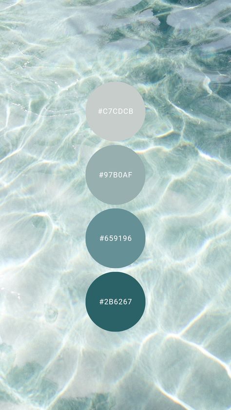 Island waters in monochrome grey blue are tropical but cool. Try it in the bathroom, home office, basement, or bachelor apartment / condo. #colourpalette #colorpalette #colour #color #palette #blue #monochromatic #cool #clean Water Inspired Color Palette, Dark Teal Blue Color Palette, Grey Teal Color Palette, Tropical Island Color Palette, Teal And Blue Color Palette, Aqua Colour Palette, Color Palette Water, Home Office Basement, Teal And Magenta