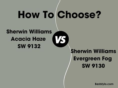 Acacia Haze vs Evergreen Fog: What’s the Difference? Evergreen Fog Entryway, Sherwin Williams Acai Haze, Acacia Haze Coordinating Colors, Acadia Haze Sw, Evergreen Fog Office Ideas, Acacia Haze Sherwin Williams Bedroom, Acai Haze Sherwin Williams, Evergreen Fog Vs Acacia Haze, Sw Evergreen Fog Front Door