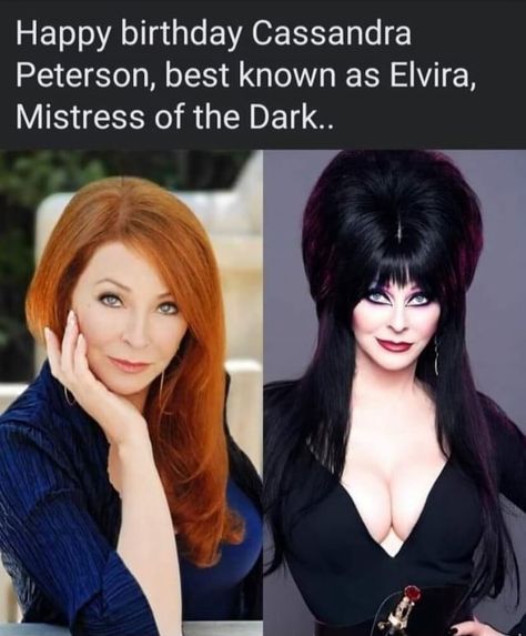 Elvira Dress, Sci Fi Girl, Cassandra Peterson, Elvira Mistress Of The Dark, Crush Advice, Fierce Women, 3 Women, Mini Dress Fashion, Best Pics