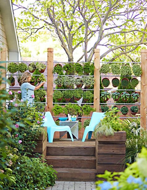 Create a tasteful (and tasty!) privacy screen along a sunny deck or patio with a wall of potted herbs. Here's how: http://www.midwestliving.com/garden/ideas/how-to-build-a-wall-of-potted-herbs/ Potted Herbs, Herb Wall, Vertical Vegetable Garden, Vertical Herb Garden, Indoor Herb Garden, Yard Project, Herb Pots, Diy Yard, Deck Garden