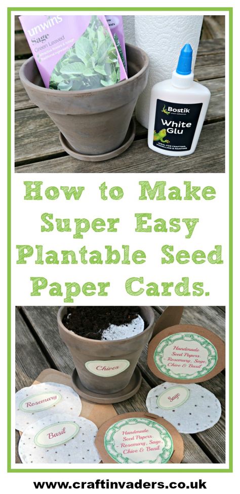 We show you how to make Super Easy Plantable Seed Paper Cards using Bostik White Glue and Kitchen Towel. Seed Paper Diy, Seed Paper Cards, Seed Cards, Seed Craft, Craft Paper Wrapping, Flower Seed Paper, Plantable Seed Paper, Paper Wrapping, Craft Stash