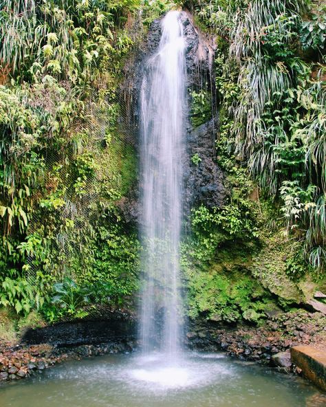 Toraille Waterfall, Saint Lucia @bittyfitz via IG Saint Lucia Aesthetic, St Lucia Aesthetic, Lucia Wallpaper, Lucia Aesthetic, 2023 Motivation, St Lucia Caribbean, Summer Vibes Friends, Vibes Tumblr, Vibe Video