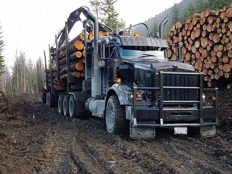 Hunting Truck, Truck Mechanic, Logging Equipment, Forestry Equipment, Truck Transport, Tactical Gear Loadout, Large Truck, Antique Tractors, Kenworth Trucks