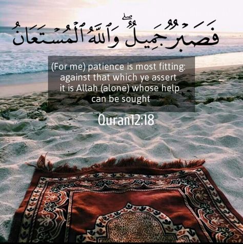 Surah Yusuf Islamic Aesthetic, Mosque Art, Photographie Portrait Inspiration, Prayer Mat, Beauty Of Islam, Islamic Quotes Wallpaper, Islamic Wallpaper, Islamic Architecture, Islamic Pictures