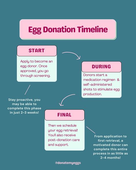 Curious about the timeline for egg donation? Typically, it’s 4-6 months from application to your first retrieval. It takes time to complete your full profile and genetic interview and to schedule around your cycle. However, this really depends on you, the donor, to be on top of getting all of your information. If a donor is SUPER on top of it, they can get from application to full genetic interview in 2-3 weeks. Compensation for your first donation ranges from $4,000 to $8,000. Apply now... Egg Donor, Egg Donation, Egg Production, Genetic, 3 Weeks, 6 Months, Egg, Interview, How To Apply