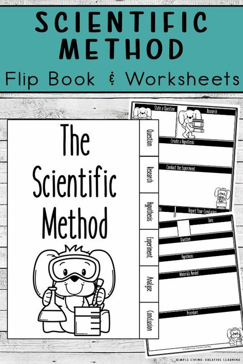 Introducing children to the Scientific Method is easy with these Scientific Method Flip Book and Worksheets. Scientific Method Flip Book, Science Experiment Worksheet, Flip Book Ideas, Grade 3 Science, Easy Reader Books, Scientific Method Worksheet, Science Printables, Study Craft, The Scientific Method