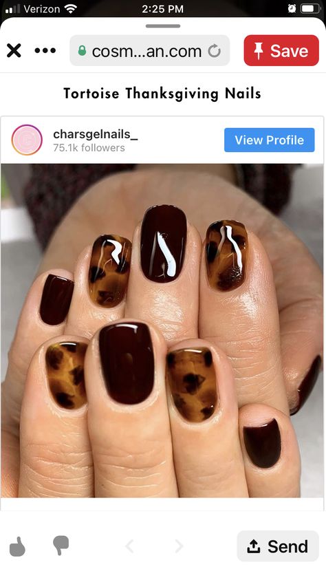 Tortishell Nails Design, Tiger Nail Art, Tiger Nails, Beach Nail Designs, Animal Print Nails Art, Brown Nails Design, Modern Nails, Casual Nails, Leopard Nails