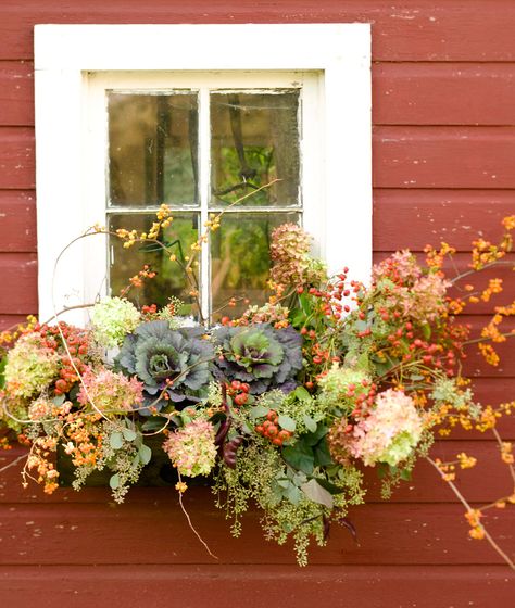 Fall Window Boxes, Window Box Garden, Fall Windows, Fall Containers, Window Box Flowers, Fall Planters, Window Planter Boxes, Planter Ideas, Beautiful Windows