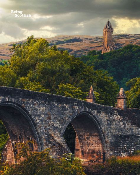 Being Scottish (@BeingScots) on X Battle Of Stirling Bridge, Scottish Aesthetic, Wallace Monument, William Wallace, Scotland, Monument