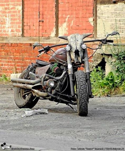 Skull bike Shadow Bobber, Chain Art, Rat Rod Bike, Bobber Bikes, Honda Bikes, Custom Bobber, Bmw Cafe Racer, Rat Bike, Harley Bikes