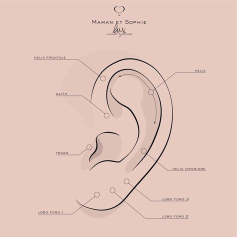 Blank Ear Diagram For Piercings, Ear Diagram Piercings, Ear Diagram, Ear Piercings Chart, Piercing Chart, Ear Piercings, Piercings, Roses, Clip Art