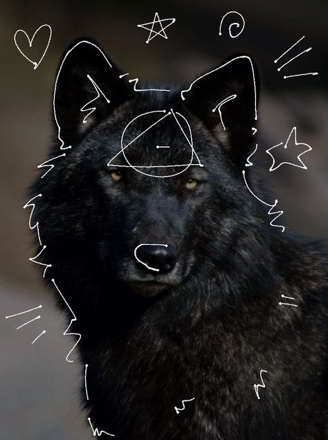 Black Wolf Therian, Wolf Therian, Black Wolf, Please Do, Made By Me, A Black, White, Black