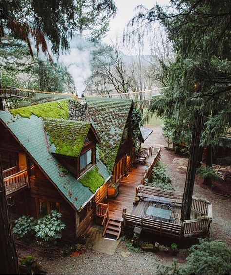 A Cabin In The Woods, Desain Editorial, Hgtv Dream Home, A Cabin, Cabin In The Woods, Cabins And Cottages, A Log, Cabin Life, Forest House