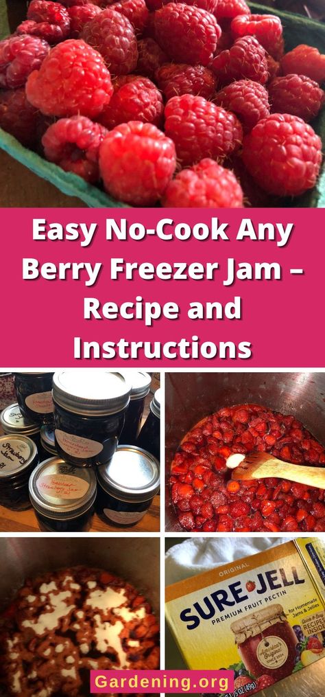 Easy No-Cook Any Berry Freezer Jam – Recipe and Instructions Berry Jam Recipe, Mixed Berry Jam, Freezer Jam Recipes, Freezer Jam, No Cook, Berry Jam, Jam Recipe, Jelly Recipes, Different Fruits