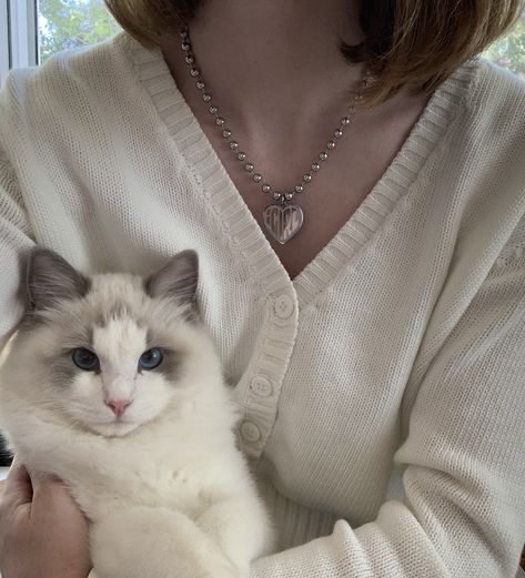 White Ragdoll Cat, Cat Ragdoll, Birthday Summer, Ragdoll Cats, Ragdoll Kitten, Gorgeous Cats, Cat Icon, Kittens And Puppies, Pretty Animals