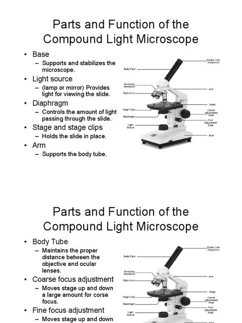 Parts And Function Of Microscope, Parts Of Microscope And Its Function, Microscope Parts And Functions, Biology Knowledge, Compound Light Microscope, Light Microscope, Biochemistry Notes, Medical Laboratory Technician, Microscope Parts