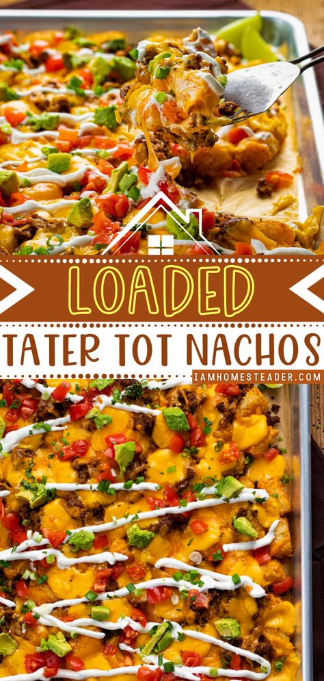 Tater Tot Lunch Ideas, Tarot Tot Nachos, Loaded Tater Tot Nachos, Tator Tot Nachos Recipe, Beef Totchos Recipe, Loaded Cheeseburger Tater Tots, Nacho Tots Recipe, What Goes With Tater Tots, Loaded Potato Tots Recipes