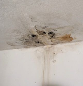 Damaged ceiling from a water leak. Black mold is growing. Kill Black Mold, Clean Black Mold, Bathroom Mold, Ceiling Leak, Bathroom Elegant, Black Mold, Leaky Roof, Mold In Bathroom, Water Damage Repair