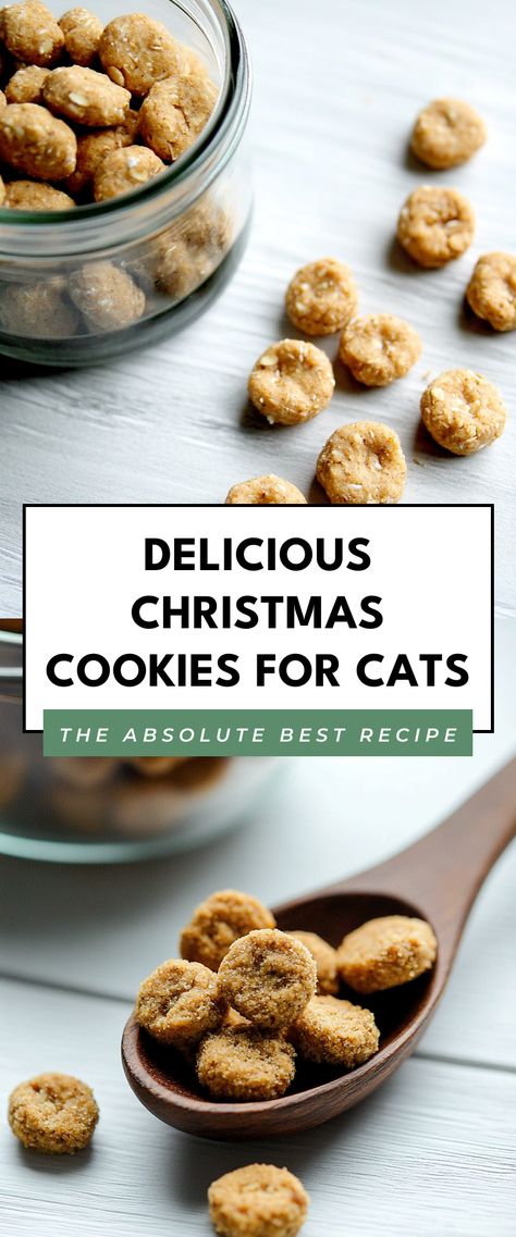 Image for Delicious Christmas Cookies for Cats Cat Cookie Recipes, Cookies For Cats Recipe, Cat Cookies Recipe, Cat Treat Recipes Homemade, Cookies For Cats, Christmas Dog Cookies, Cat Treats Recipes, Homemade Cat Treats, Homemade Cat Treats Recipes