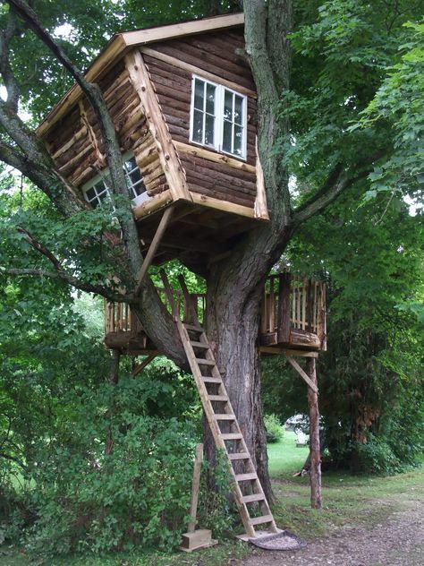 Backyard Tree House Aesthetic, Tree Topper Ideas, Como Plantar Pitaya, Fairy Tale House, Tree House Interior, Simple Tree House, House For Kids, Decorating Christmas Tree, Beautiful Tree Houses