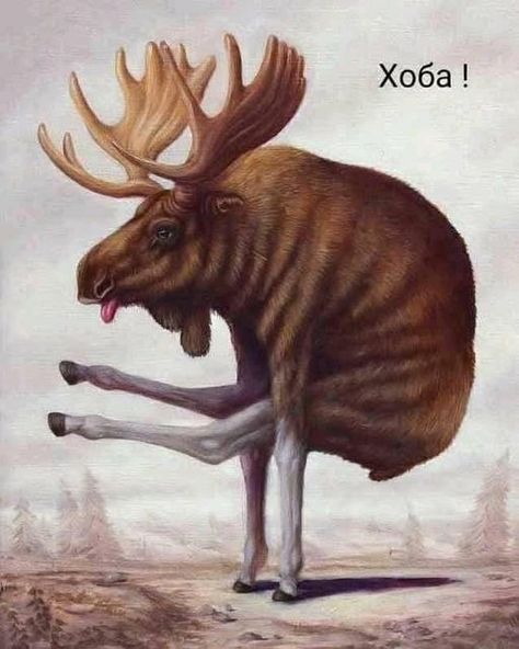 Moose Painting, Yoga Kunst, Bizarre Animals, Animal Yoga, Arte Yoga, Arte Peculiar, Colossal Art, Desenho Tattoo, Yoga Art