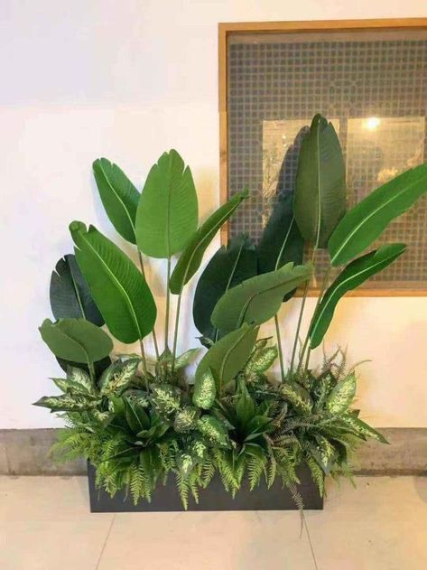 Bathroom Plants Decor, Tropical Garden Design, Garden Decor Projects, Mums Homecoming, Bathroom Plants, Plant Decor Indoor, 아파트 인테리어, Front Porch Decorating, House Plants Decor