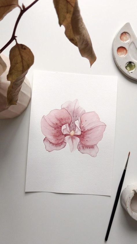 Orchid Drawing, Orchids Painting, Watercolor Paintings For Beginners, Art Graphic Design, Watercolor Flower Art, Art Painting Gallery, Art Folder, Ethereal Art, Watercolor Drawing