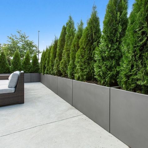 Large Planter Boxes, Privacy Landscaping, نباتات منزلية, Modern Backyard Landscaping, Rectangular Planters, Backyard Pool Designs, Outdoor Gardens Design, Small Backyard Patio, Large Planters