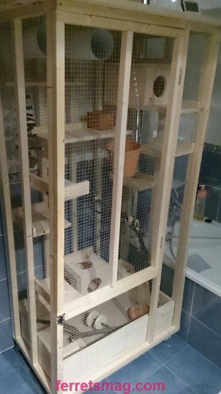 Squirrel Cage Ideas, Degu Cage, Chinchilla Care, Rabbit Habitat, Chinchilla Cage, Parakeet Cage, Ferret Cage, Rat Toys, Rat Cage