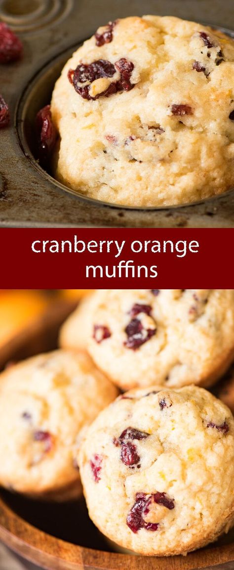 Dried Cranberry Muffins, Freezer Muffins, Cranberries Recipes, Cranberry Orange Muffin Recipe, Cranberry Recipes Muffins, Orange Muffin Recipe, Healthy Muffin, Muffins Breakfast, Cranberry Orange Muffins