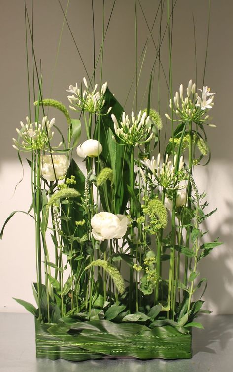 Vegetative Floral Design, Contemporary Flower Arrangements, Modern Floral Arrangements, Floral Art Arrangements, Floristry Design, نباتات منزلية, Flower Arrangement Designs, Ikebana Flower Arrangement, Floral Art Design