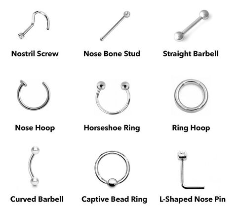 Your Guide to All Types of Nose Piercing - The Trend Spotter Third Eye Piercing, Types Of Nose, High Nostril Piercing, Rhino Piercing, Nose Ring Sizes, Cute Nose Piercings, Piercing Chart, Nose Piercing Hoop, Nostril Piercing