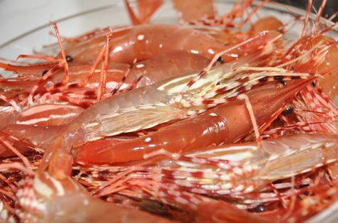 Spot Prawns, Ocean Food, Prawn Dishes, How To Cook Liver, Appetizer Sandwiches, Seafood Entrees, Prawn Shrimp, Prawn Recipes, Weekend Meals