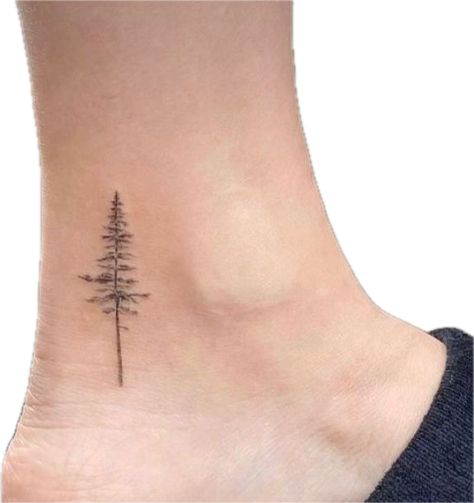 Pine Tattoo Design, Fineline Pine Tree Tattoo, Small Evergreen Tree Tattoo, Pine Tree Finger Tattoo, Michigan Inspired Tattoos, Longleaf Pine Tattoo, Western Red Cedar Tattoo, Cute Tree Tattoo, Red Pine Tree Tattoo