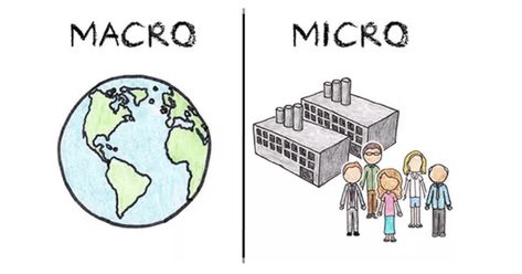 Micro vs Macro Economics -What's the Difference? | Trade Brains Economics Pictures, Microeconomics Study, Teaching Economics, Micro Economics, Ilmu Ekonomi, Economics Lessons, Economic Analysis, Page Decoration, Fundamental Analysis