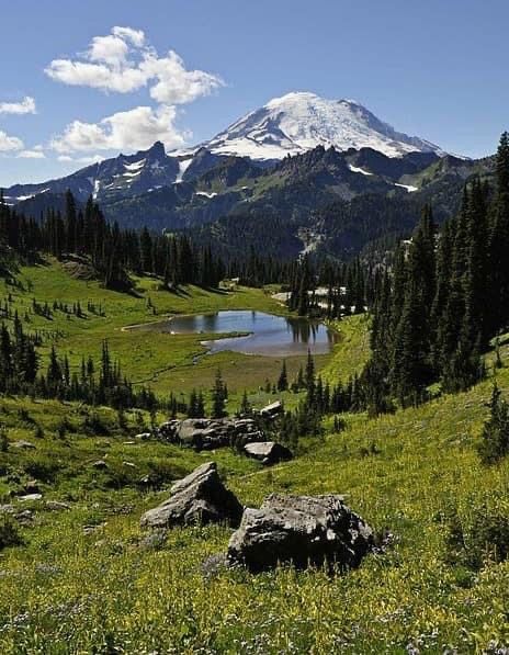 Mt Rainer, Alpine Meadow, Oregon Washington, Nature Scenes, Mount Rainier, Oregon, Road Trip, Natural Landmarks, Travel