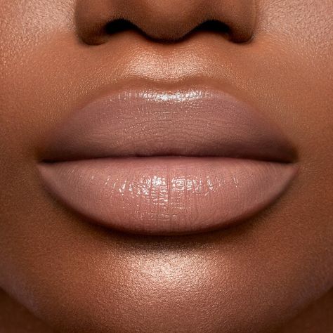 Light Brown Lipstick, Brown Skin Makeup Looks, Skin Reference, Face Creator, Licensed Esthetician, Guys Eyebrows, Brown Lipstick, Brown Skin Makeup, Physical Appearance