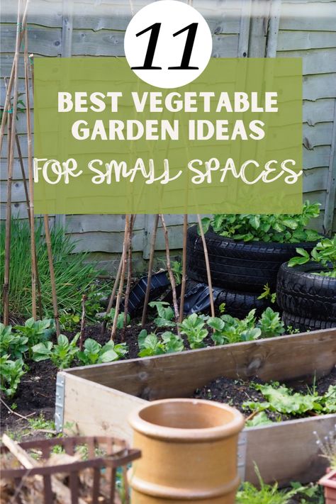 Vegetable Gardening Ideas, Garden Ideas For Small Spaces, Herbs Growing, Vertical Vegetable Gardens, Vegetable Garden Ideas, Easy Patio, Garden Goals, Vertical Vegetable Garden, Small Vegetable Gardens