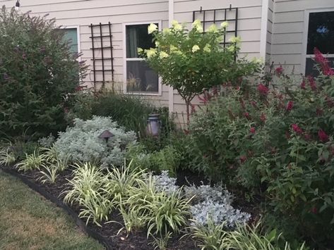 North Carolina Gardening, North Carolina Garden, Evergreen Planters, Small Trees For Garden, Hydrangea Tree, Trees For Front Yard, Fine Gardening Magazine, Front Yard Plants, Small Yard Landscaping