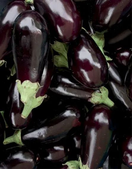 Eggplant Aesthetic, How To Prepare Eggplant, Prawn Salad, Funny Life Lessons, Eggplant Parm, Eggplant Salad, Eggplant Dishes, Grilled Eggplant, Asian Salad