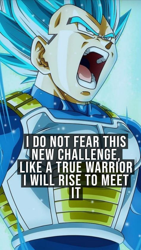 Vegeta Quotes, Dbz Quotes, Vegeta Anime, Martial Arts Quotes, Baby Pokemon, Dragon Ball Z Iphone Wallpaper, The Best Wallpapers, Best Wallpapers, Dragon Ball Super Wallpapers