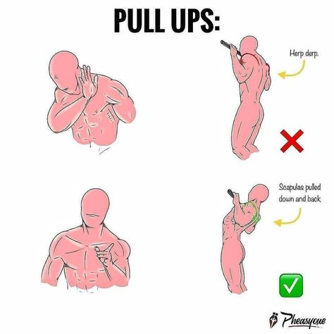 Definitey one of the greatest exercises for the lats/back muscles. ⁣ ✅✅✅ When we try pull ups or pull downs or chin ups, the number ONE thing we need to do (both for safety and back development) is to LOCK those scapulas down and back before starting the pull. It's the most important thing you need to remember, if you want to develop those wings because that's actually "how" you engage your back muscles.⁣ ⁣ When learning the exercise, it's always a good to start with a protraction of the shoulde Abdominal Muscles Anatomy, Killer Shoulder Workout, Leg Muscles Anatomy, Winged Scapula, Most Effective Ab Workouts, Shoulder Anatomy, Pull Up Workout, Energetic People, Walking For Health