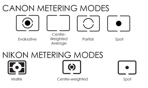 Understanding Different Metering Modes | Nature TTL Smartphone Photography Tricks, Specular Reflection, Expensive Camera, Photography Settings, Full Frame Camera, Focus Photography, Exposure Photography, Smartphone Photography, Photography Lessons