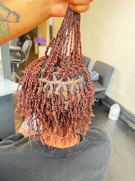 Triangle Part Starter Locs, Triangle Locs Parts, Twist With Triangle Parts, Triangle Part Locs, 2 Strand Starter Locs, Extra Small Two Strand Twist Starter Locs, Two Strand Twist Starter Locs 4c Hair, Two Strand Twist Starter Locs Triangle Parts, Two Strand Twist Vs Coil Starter Locs