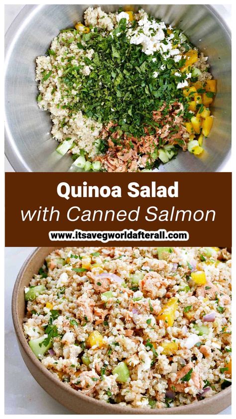 Quinoa Recipes Side Dish For Salmon, Quinoa Salmon Salad, Can Salmon Recipes Healthy, Quinoa Salad With Salmon, Mediterranean Canned Salmon Recipes, Quinoa And Salmon Recipes, Canned Salmon Lunch Recipes, Canned Salmon Recipes Healthy, Salmon And Quinoa Recipes