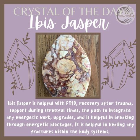 Willow Witchcraft Ibis Jasper, Crystal Meanings Charts, Crystal Knowledge, Crystal Identification, Crystal Tips, Crystal Magick, Crystal Healing Chart, Rocks Crystals, Earth Gift