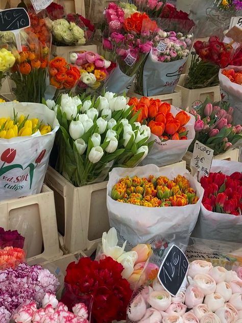 Nice Market France, France Spring Aesthetic, French Flowers Aesthetic, French Spring Aesthetic, Spring In Paris Aesthetic, French Market Aesthetic, Nice France Aesthetic, Spring In France, Flower Market Aesthetic