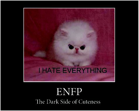 Angry Enfp, Enfp Dark Side, Enfp Angry, Enfp Problems, Personalidad Enfp, Enfp And Infj, Enfp Personality, Enfp T, Mbti Character